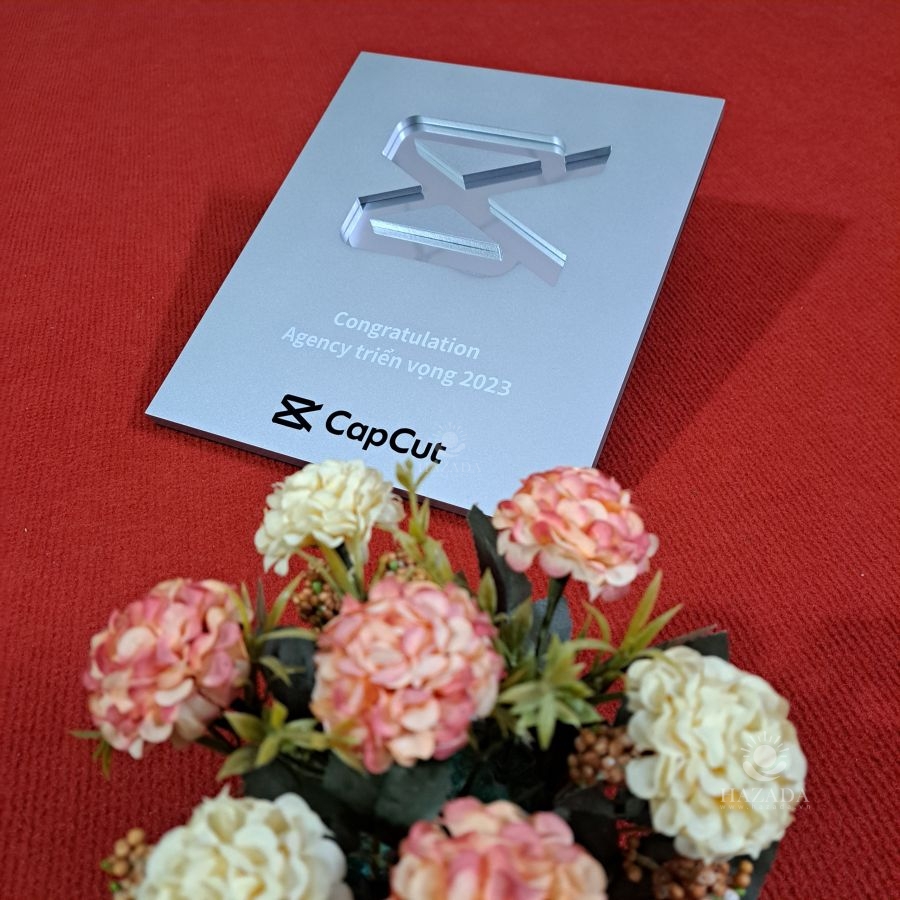 Bảng chứng nhận Bạc Vinh danh Bạc Capcut 2023 thiết kế theo yêu cầu
